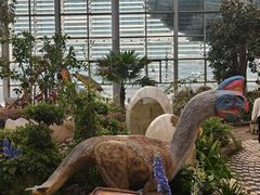 -沈阳植物园