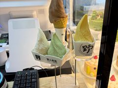 -野人先生现做冰淇淋(北京环宇荟店)