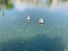 -湖光月色临湖音乐餐厅(台儿庄古城店)