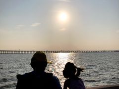 -宝安西湾红树林湿地公园