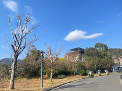 -汇雅温泉