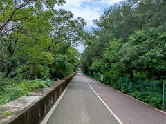 -北海金海湾红树林生态旅游区