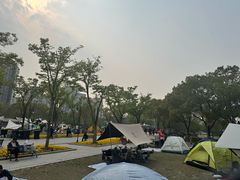 -新江湾城公园