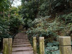-小南山公园
