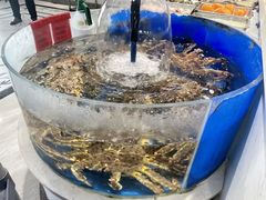 -北塘海鲜·天津菜(大光明桥旗舰店)
