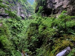 -鹿院坪生态旅游景区