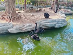 -灵玲国际马戏城