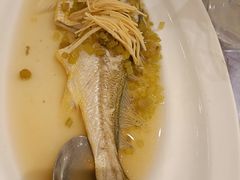 -宝燕壹号(徐汇店)