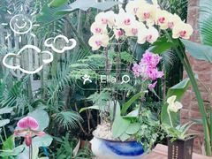 -广州兰圃