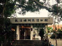 -鼓浪屿钢琴博物馆