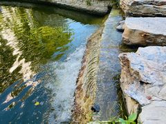 -北京国家会计学院