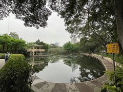 -晓港公园