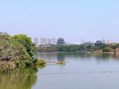 -海珠湖公园