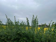 -中国天府农业博览园