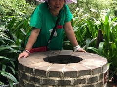 -北海金海湾红树林生态旅游区