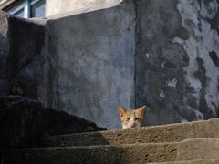 -东沙渔村