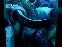 -太平洋海底世界