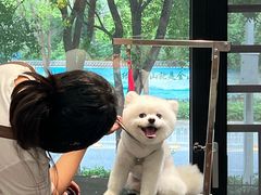 -樱桃家的宠物店(君安花园店)