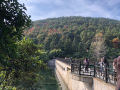 -九龙潭景区