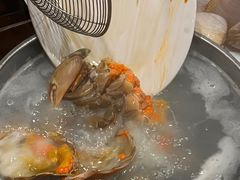 -凯华海鲜火锅·传承三十六年