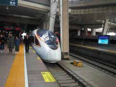 -北京南站-东侧停车场