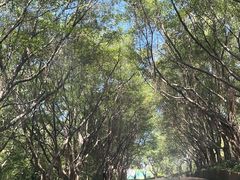 -广州莲花山旅游区