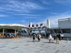 -碧海金沙