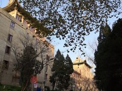 -武汉大学-樱园