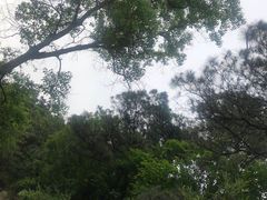 -敬亭山风景名胜区