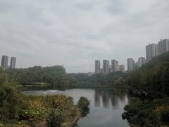 -重庆彩云湖湿地公园