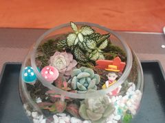 -皇城恒隆广场