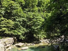 -秦岭风景区