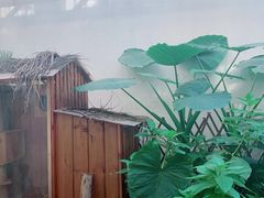 -边渡咖啡烘焙店(昙华林店)
