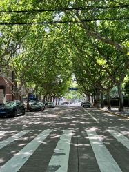 -海豚湾高端月子会所(黄浦店)