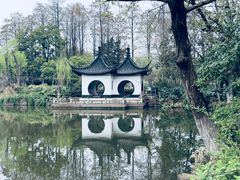 -红梅公园
