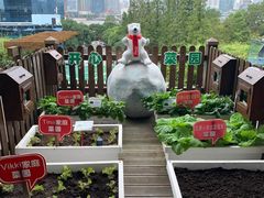 -东方明珠·可口可乐欢乐餐厅
