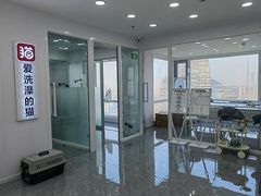 -爱洗澡的猫(望京店)