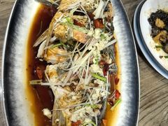 -崂山水果园农家宴(泉水鸡店)