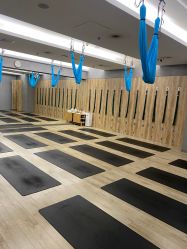 -卡莫瑜伽·普拉提