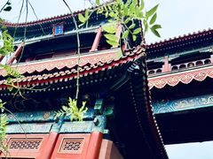 -雍和宫