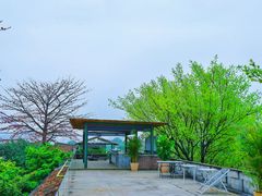 -喜洲吧·江畔老船厂·庭院餐厅(喜临院店)