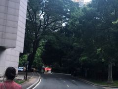 -醉南拳客家菜·河田鸡(西禅寺杨桥店)