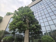 -成都保利公园皇冠假日酒店(熊猫基地店)