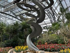 -南山植物园