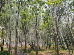 -北京鹿世界主题园