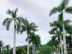-亚龙湾中心广场