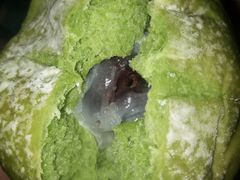 抹茶麻薯包包-顶东面包花园·生日蛋糕(世博店)