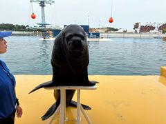 -秦皇岛乐岛海洋王国