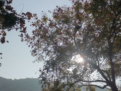 -香山公园