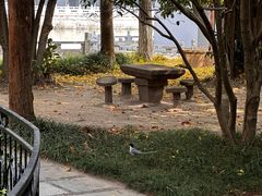 -南通濠河风景名胜区